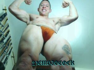 21CMBIGCOCK