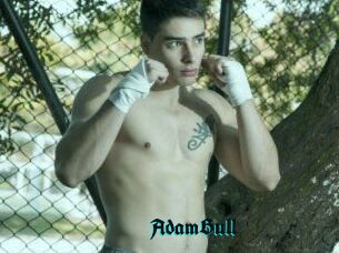 AdamBull