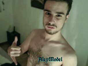 AleyModel