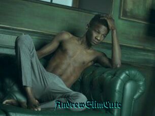 AndrewSlimCute
