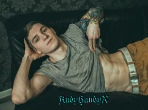 AndyHandyX