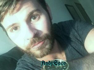 Andy_Sacs