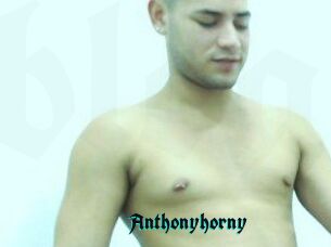 Anthonyhorny