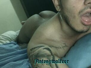 Antonywalkeer