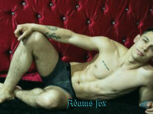 Adams_fox
