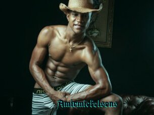 Amirmickelsens