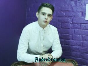 Andrebronson