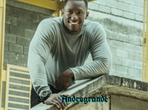 Andregrande
