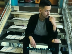 Andresescarpia