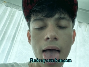 Andreyestebancam