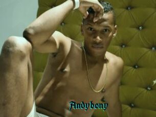 Andybony