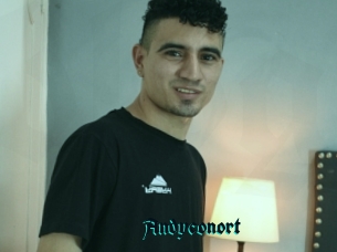 Andyconort