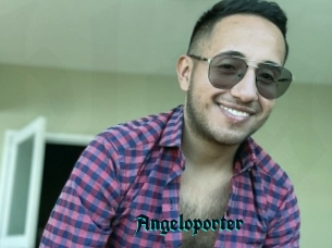 Angeloporter