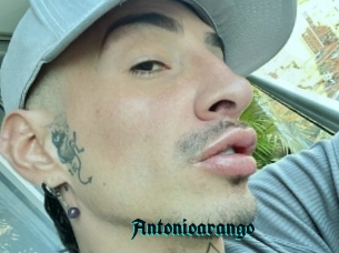 Antonioarango
