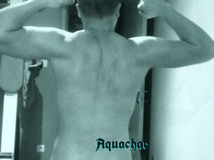 Aquachar