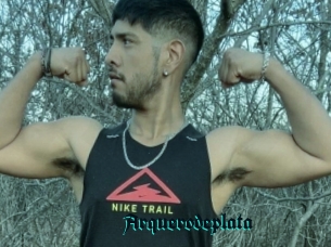 Arquerodeplata