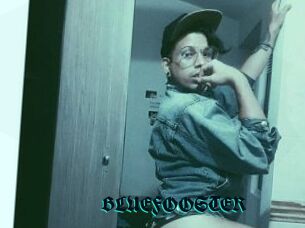 BLUEFOOSTER