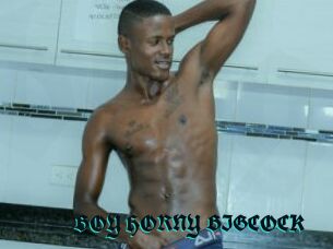 BOY_HORNY_BIGCOCK
