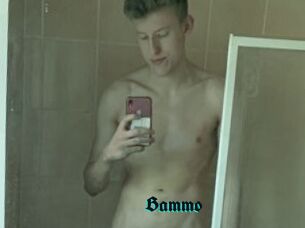 Bammo