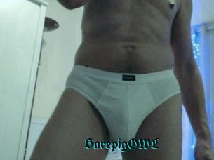 BarepigOWL