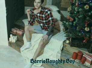BarrieNaughtyBoy