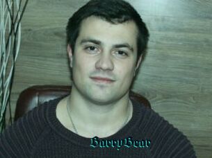 BarryBear