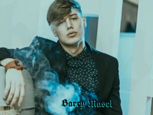 Barry_Masel