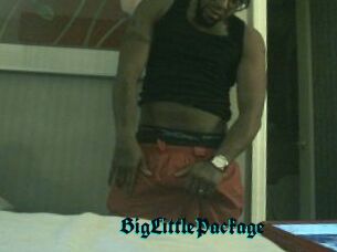 BigLittlePackage