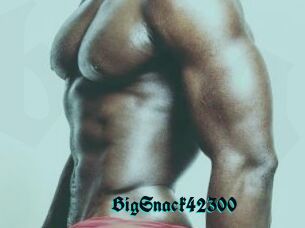 BigSnack42300