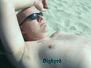 Bigbyrd