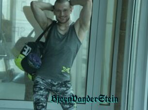 BjornVanderStein