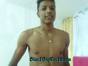 BlackBigCockLatin