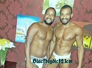 Blackbigdick21cm