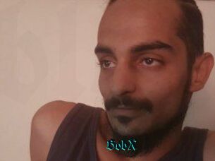 BobX