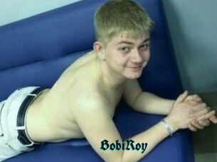 Bobi_Roy