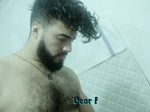 Bear_k