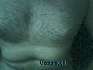 Beaugossbi
