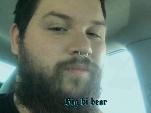 Big_bi_bear