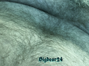 Bigbear24