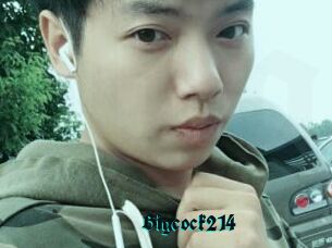 Bigcock214