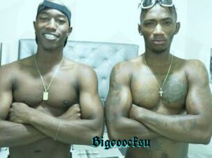 Bigcoocksu