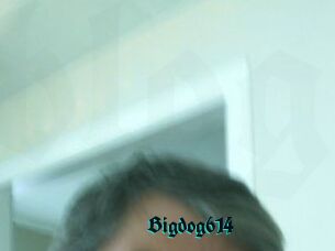 Bigdog614