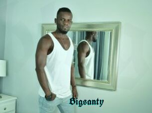Bigsanty