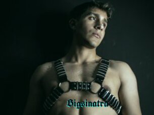 Bigsinatra