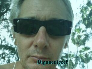 Biguncutcock