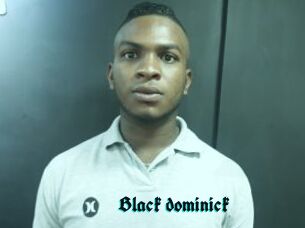 Black_dominick