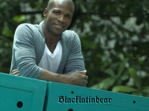 Blacklatinbear