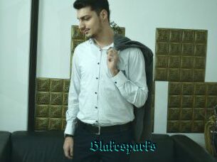Blakesparks