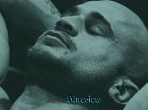 Blueview