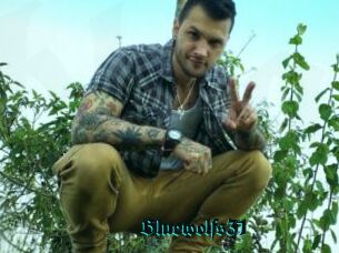 Bluewolfs31